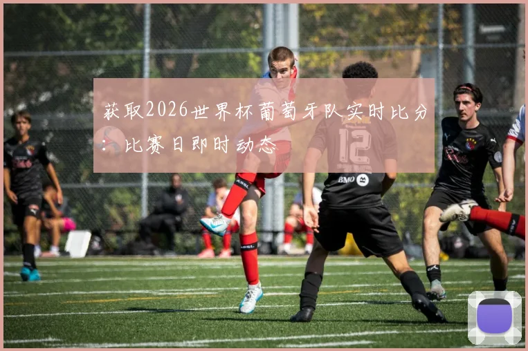 获取2026世界杯葡萄牙队实时比分：比赛日即时动态