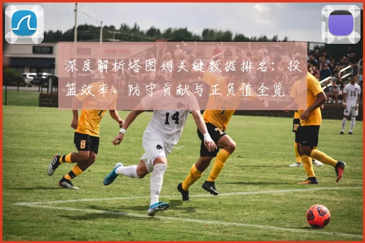 深度解析塔图姆关键数据排名：投篮效率、防守贡献与正负值全览